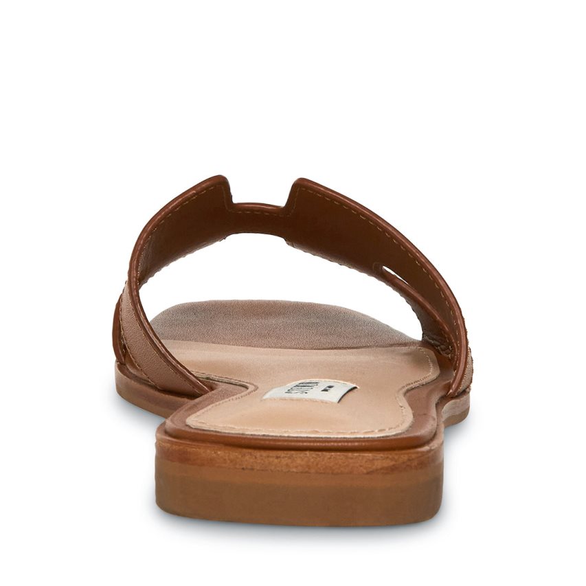 Brown Steve Madden Hadyn Leather Women's Slides | PH 432916KI